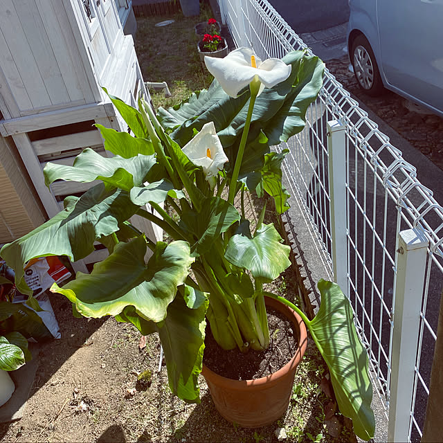 zuccoさんの実例写真
