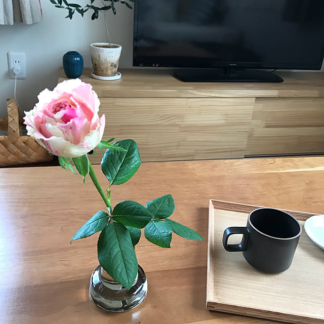 mameさんの実例写真