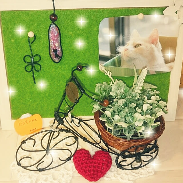 kotonaさんの実例写真