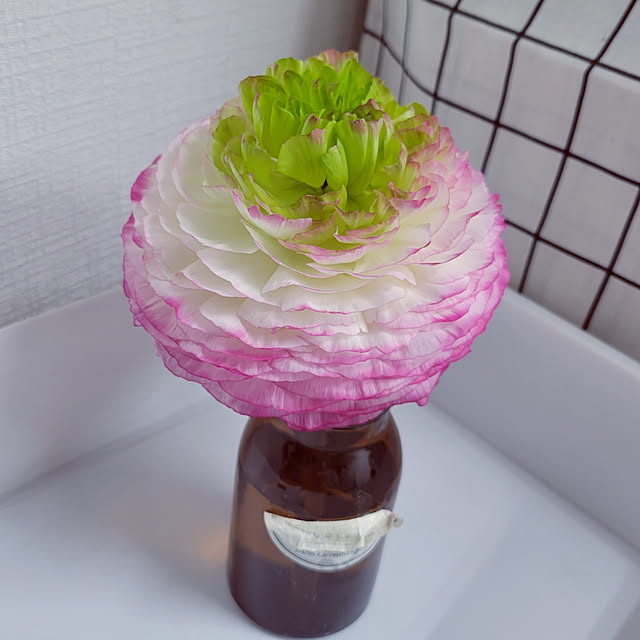 akimameさんの実例写真