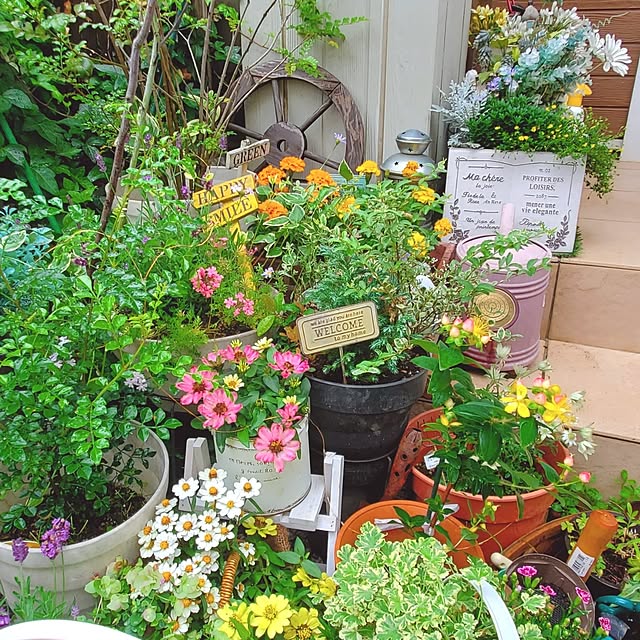 Blancheさんの実例写真