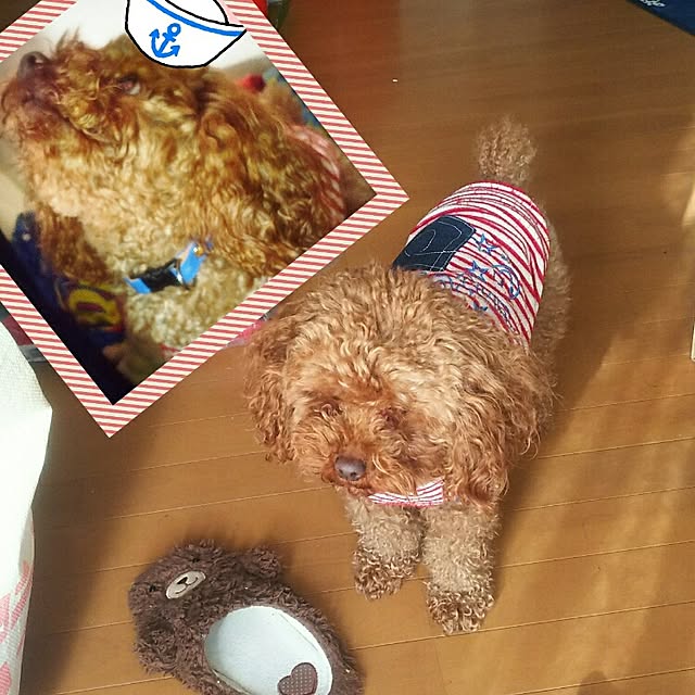 cherrycherryさんの部屋