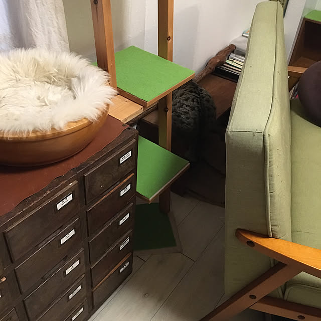 Mさんの実例写真