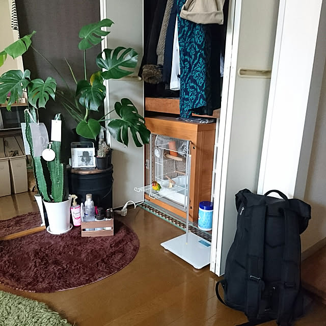 s.p.sunaoさんの実例写真