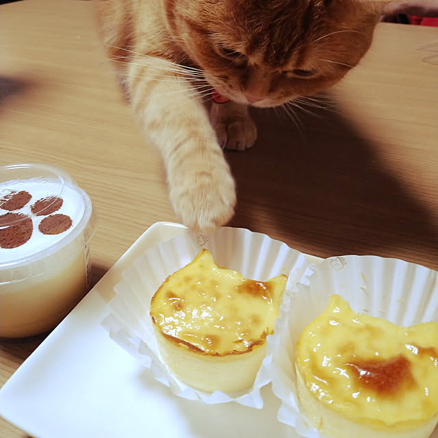 fruityanさんの実例写真
