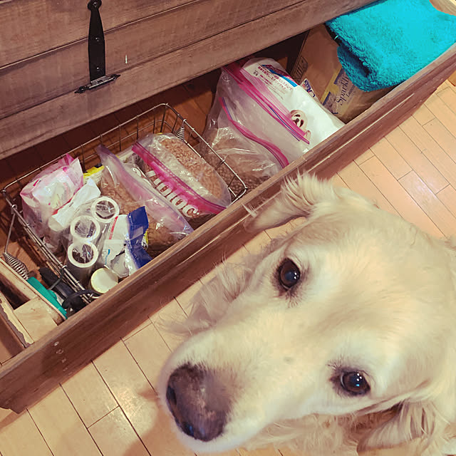 kaoさんの実例写真