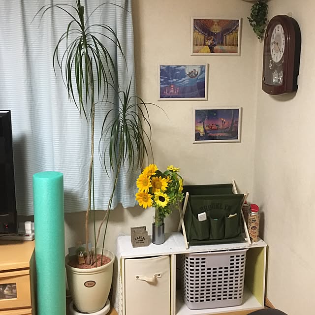 DIVAさんの実例写真