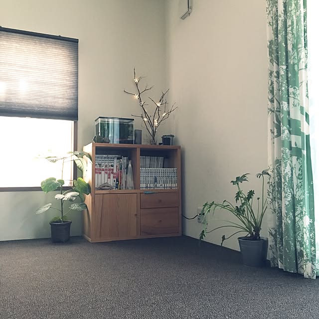 kotoriccoさんの実例写真
