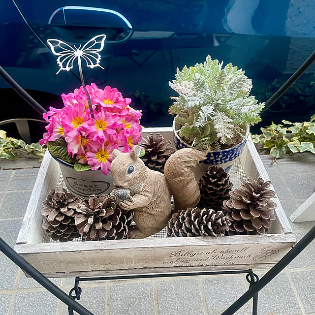 Ma-saさんの実例写真