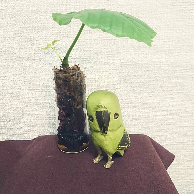 s.p.sunaoさんの実例写真