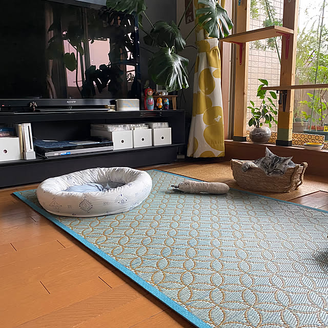 yuzuaoさんの部屋