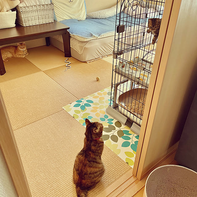 chiiさんの部屋