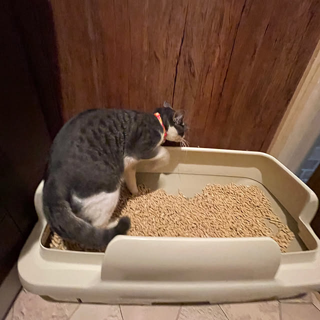 nekosamaさんの部屋