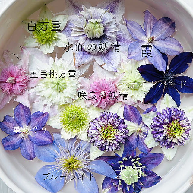 sunabaさんの部屋