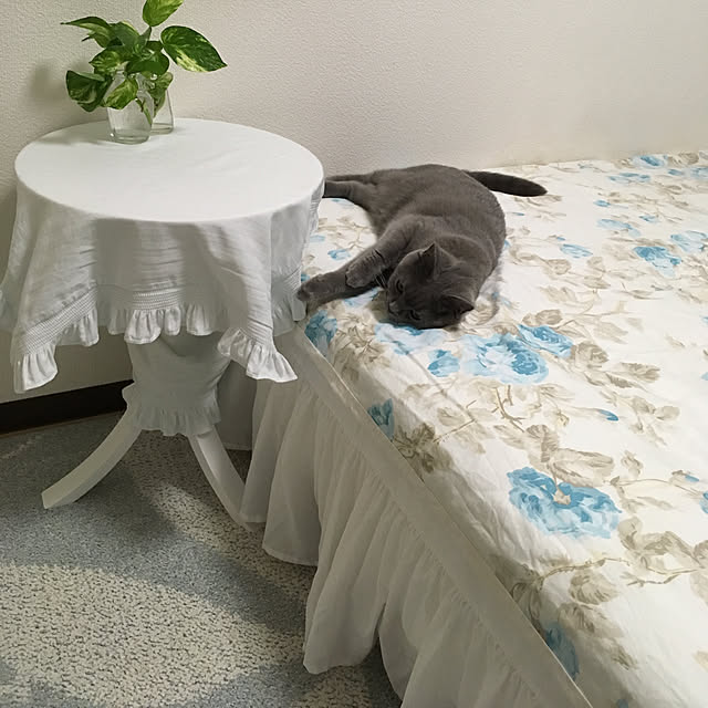 fionaさんの実例写真