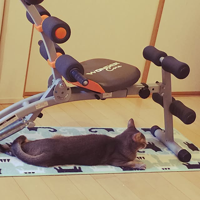 mi_koさんの実例写真