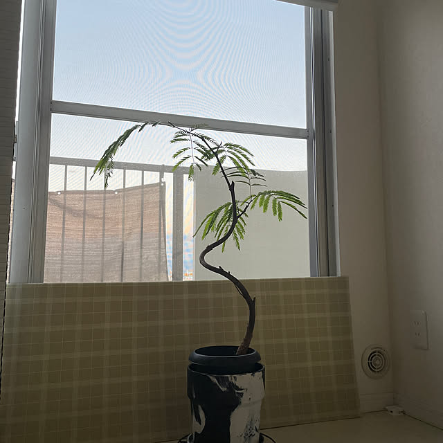 nocoさんの実例写真