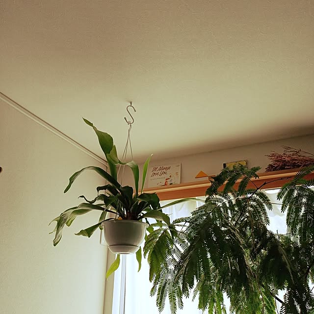 kestyukiさんの実例写真