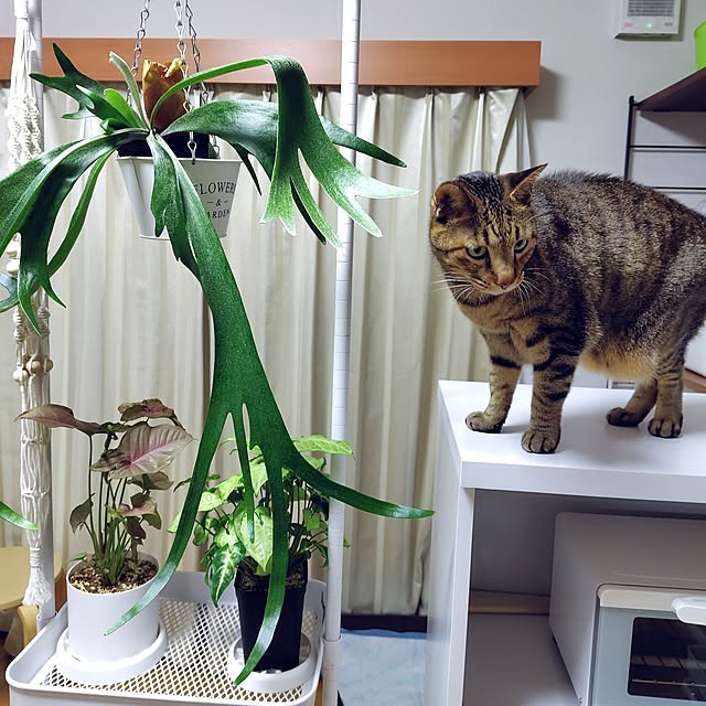 nachiさんの部屋