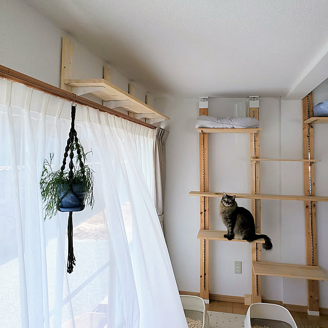 makoさんの実例写真
