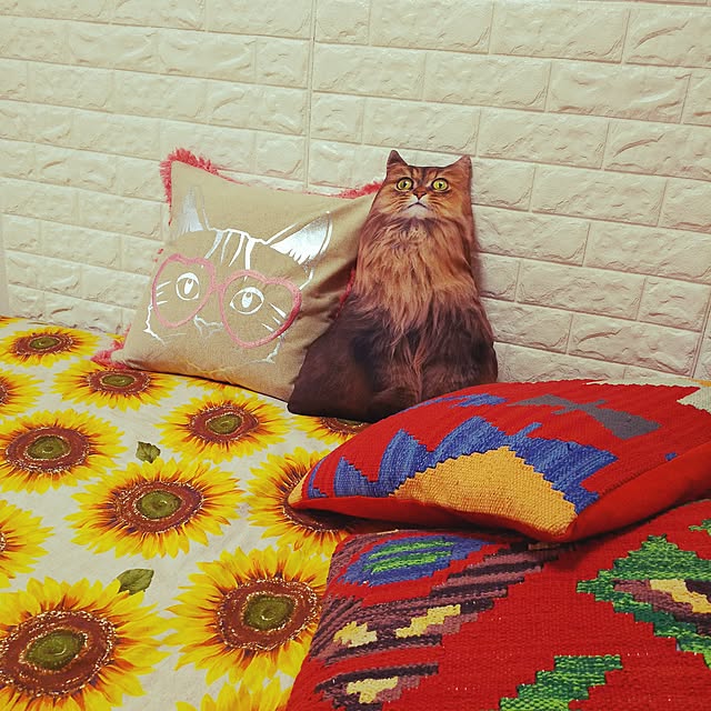 0c.c0さんの実例写真