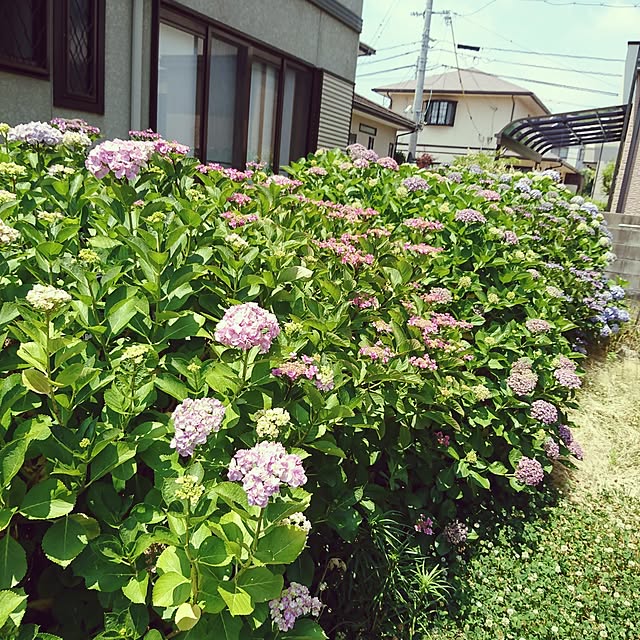 TKEさんの実例写真