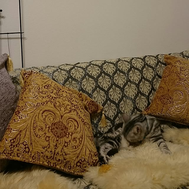 Reoさんの実例写真