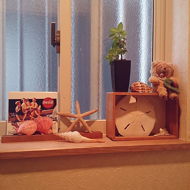 Moka-marineさんの実例写真