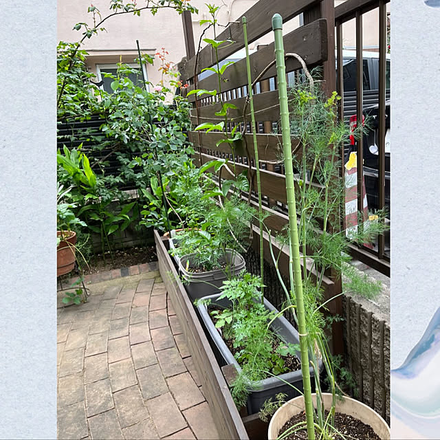botanさんの実例写真