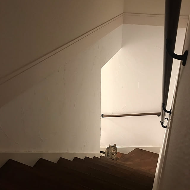 Tomococoroさんの実例写真