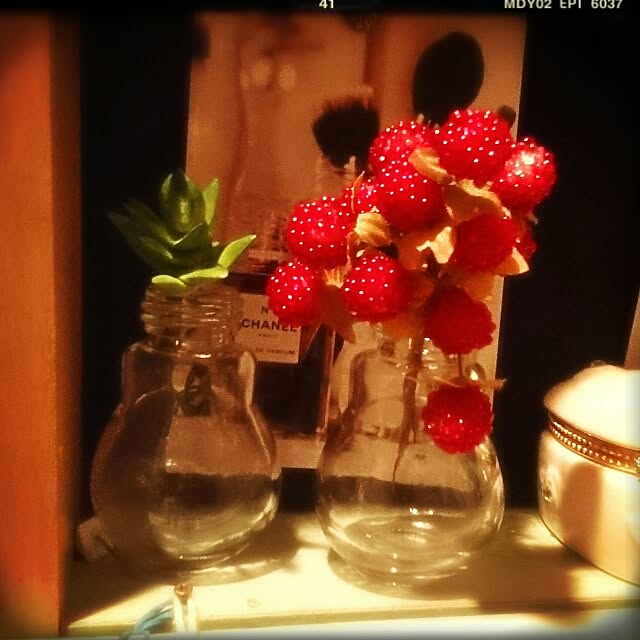 OBTERNIR88filerさんの実例写真
