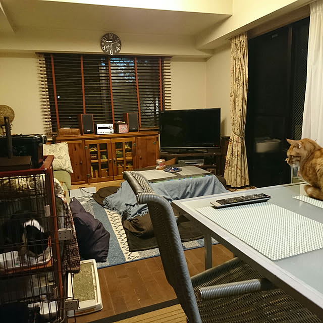 okyosan101さんの実例写真