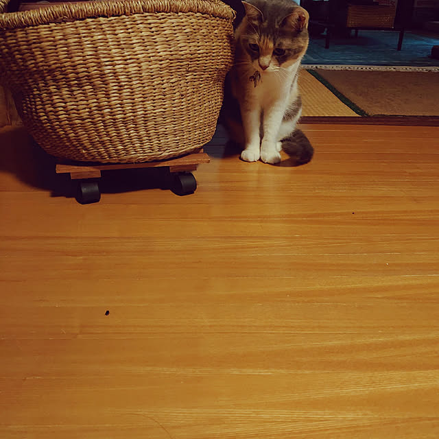 fukuさんの実例写真