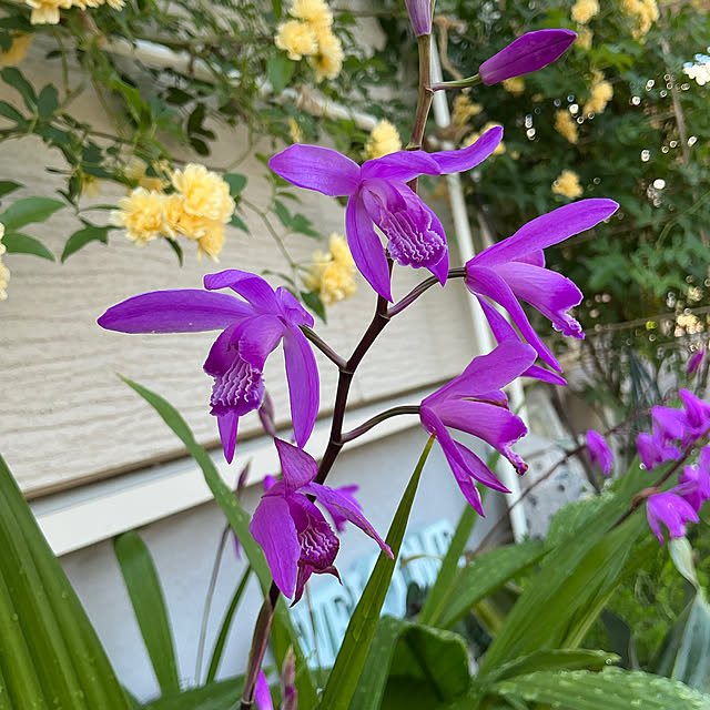 chiiyanさんの部屋