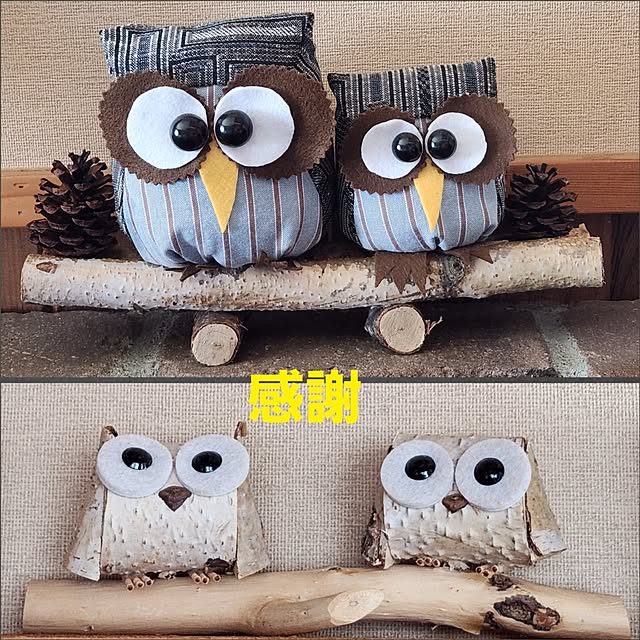 miniさんの実例写真