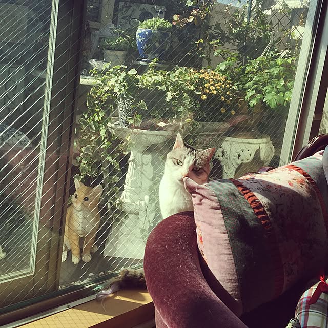emmyyさんの実例写真