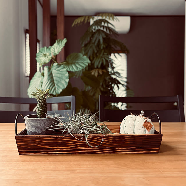 19pyonさんの部屋