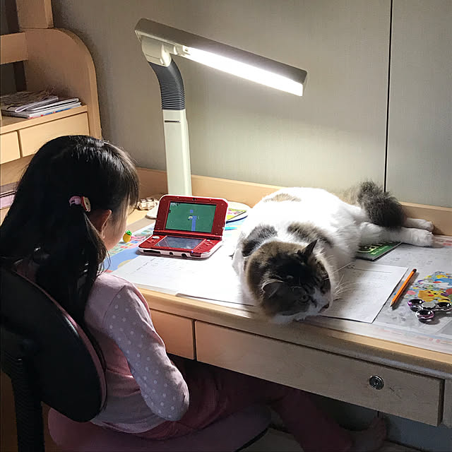 maruさんの実例写真