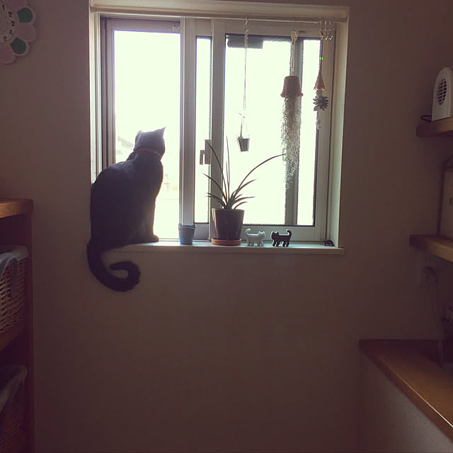 nanaさんの実例写真