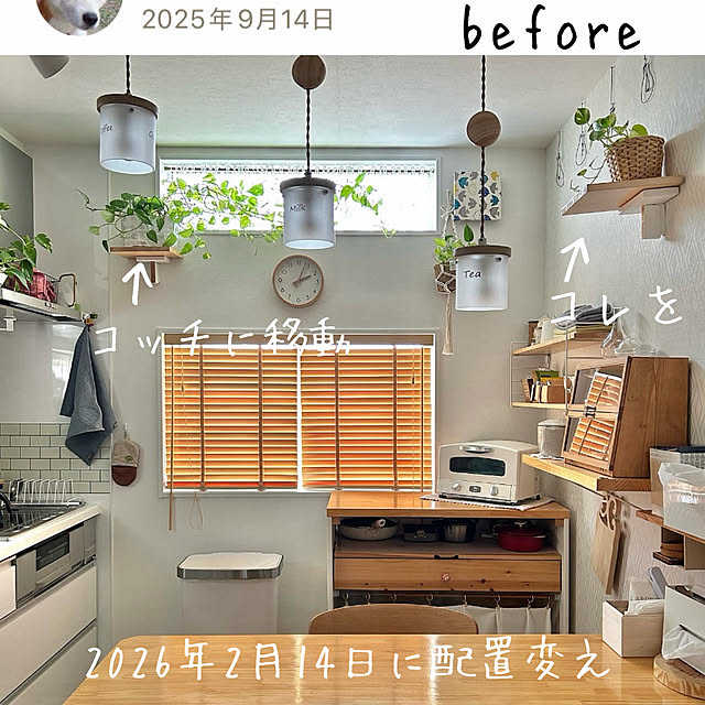 tanboさんの部屋