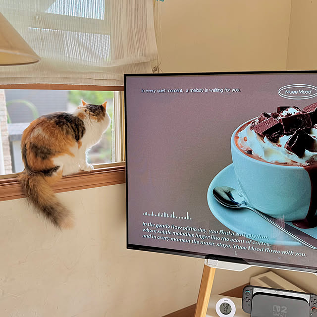 67さんの部屋