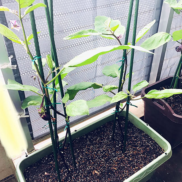 hanachanさんの部屋