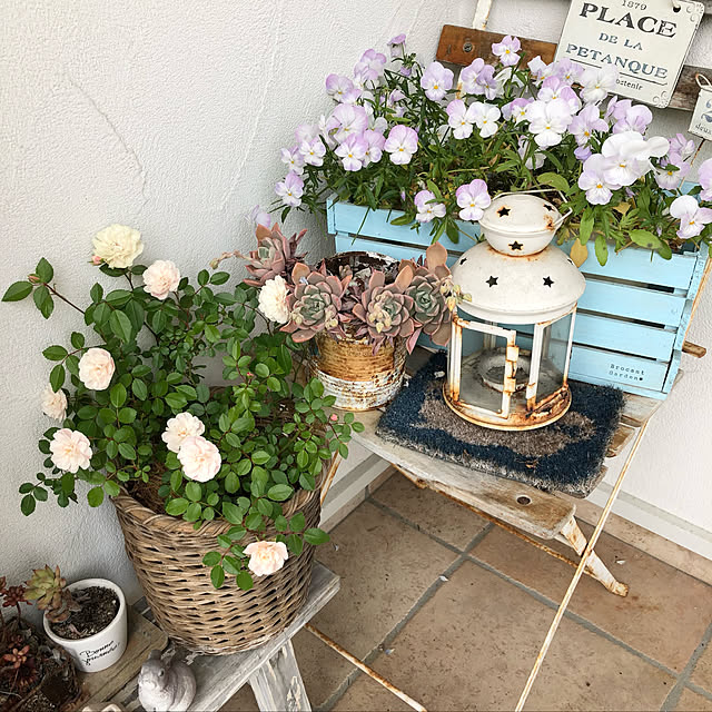 yumicloverさんの実例写真