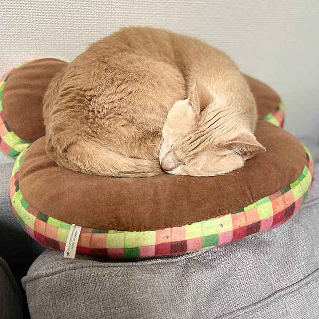 chii_tkmさんの実例写真