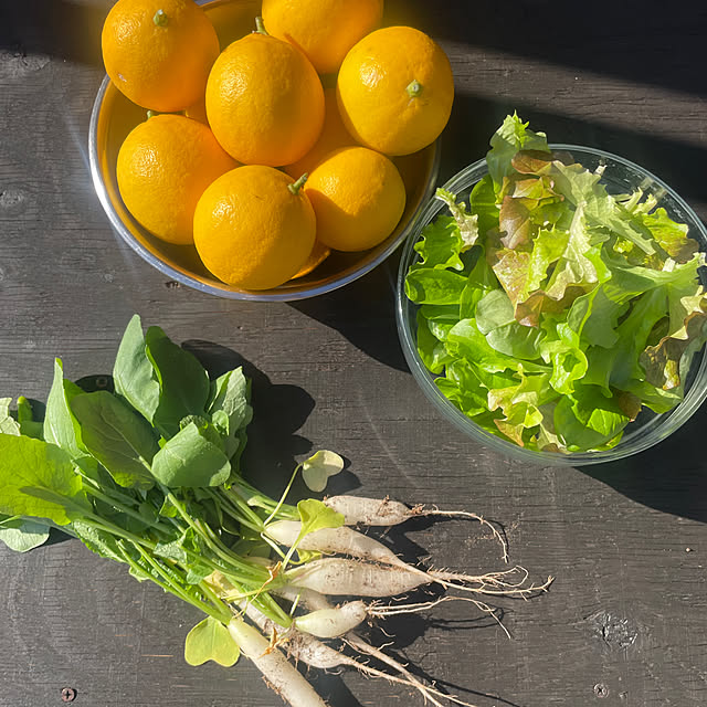 yunroomさんの部屋