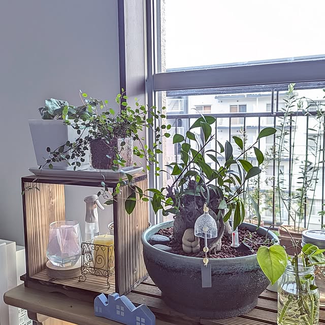 mi-saさんの部屋