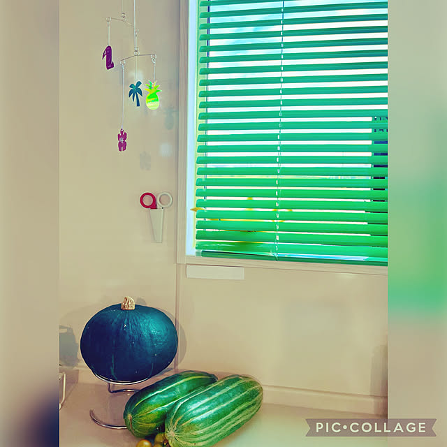 yoshibuさんの実例写真