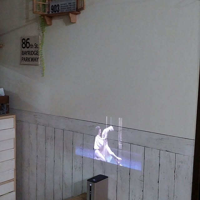 opiopiopiさんの実例写真