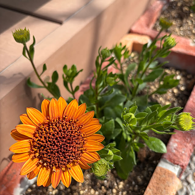 ronronさんの部屋