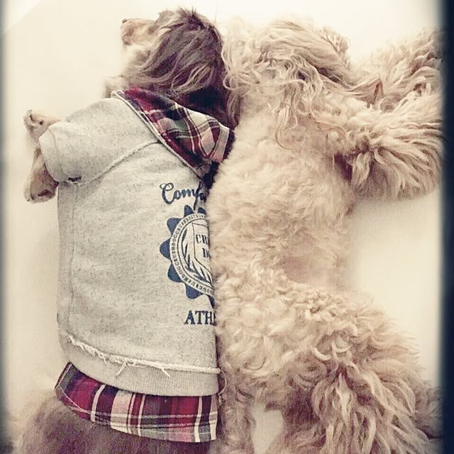 jumpmanさんの実例写真